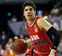 多米全站APP下载-nba黄蜂队波尔