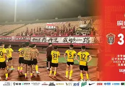 多米全站APP下载-艾跃进为什么敢穿军装